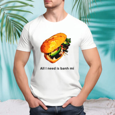 All I need is banh mi shirt