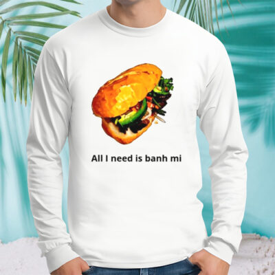 All I need is banh mi shirt