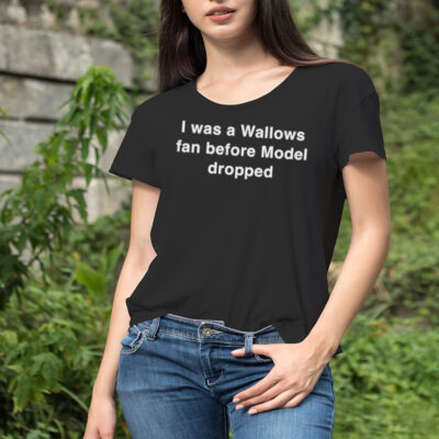I was a Wallows fan before Model dropped shirt