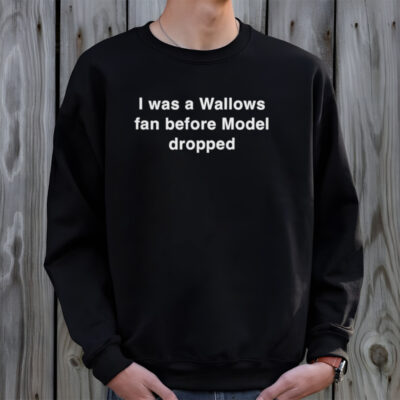 I was a Wallows fan before Model dropped shirt