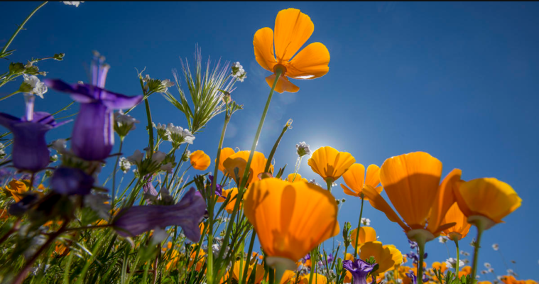 When does spring start? What to know about the vernal equinox