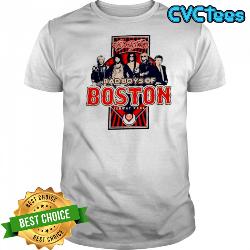 Aerosmith 2010 Fenway Park Boston Tour shirt
