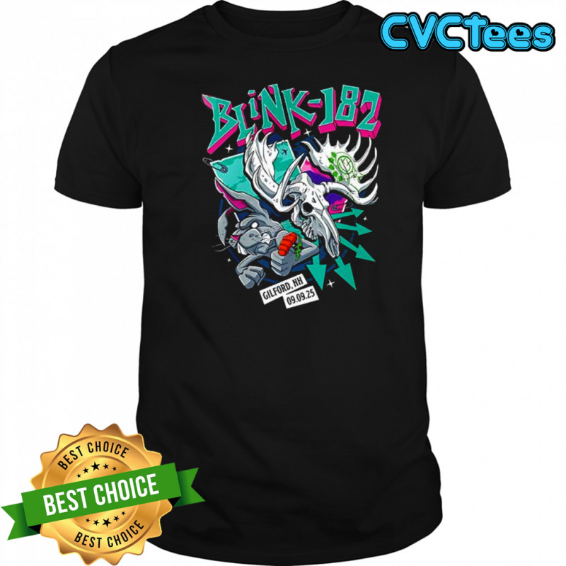 Blink-182 Gilford NH 2025 shirt