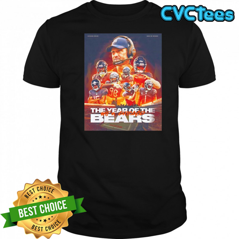 Chicago Bears NFL the year of Bears 2025 graphic shirt