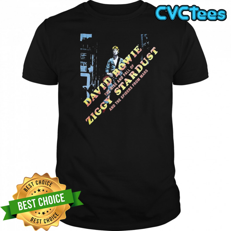 David Bowie The Rise And Fall Of Ziggy Diagonal And The Spiders From Mars T-shirt