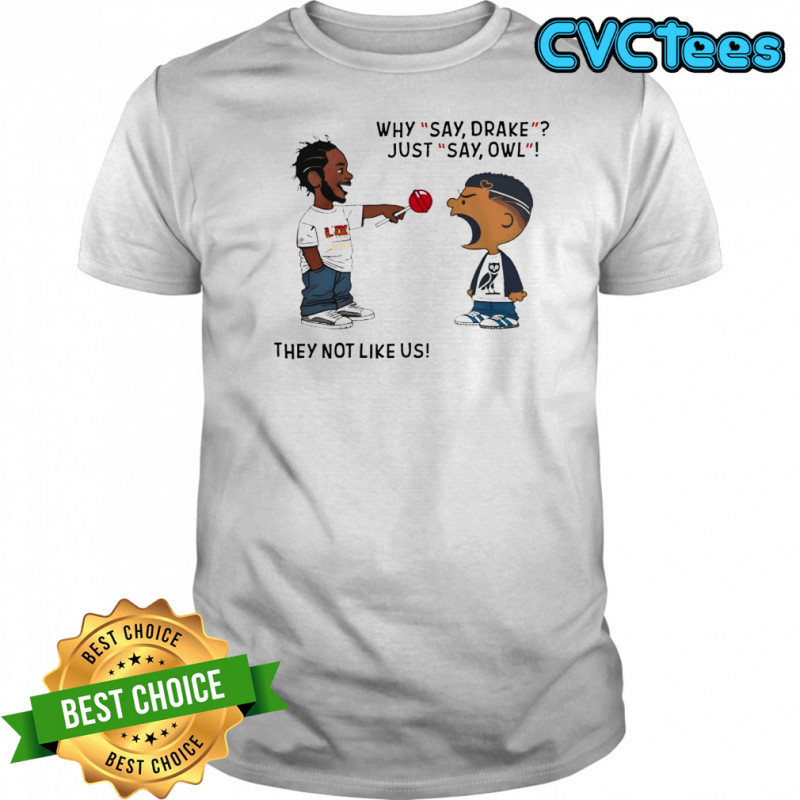 Kendrick Lamar Why Say Drake Just Say Owl They not Like Us Shirt